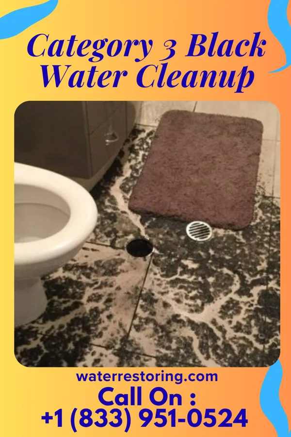 Category 3 Black Water Cleanup in Greensboro, IN