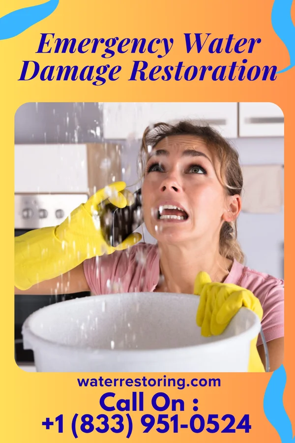 Emergency Water Damage Restoration in Greensboro, IN